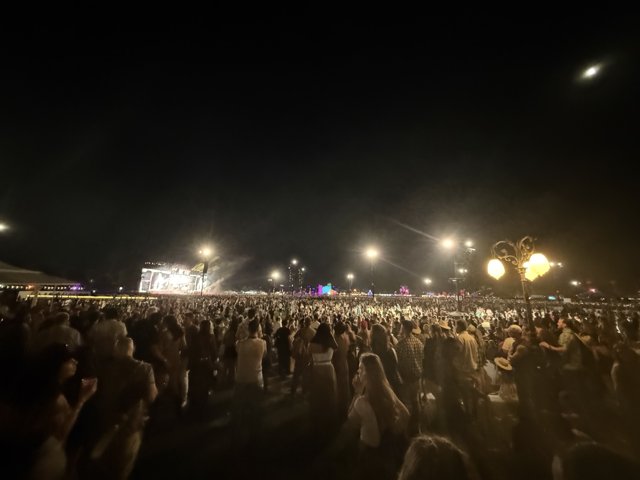 Night Rhythms Under the Stars