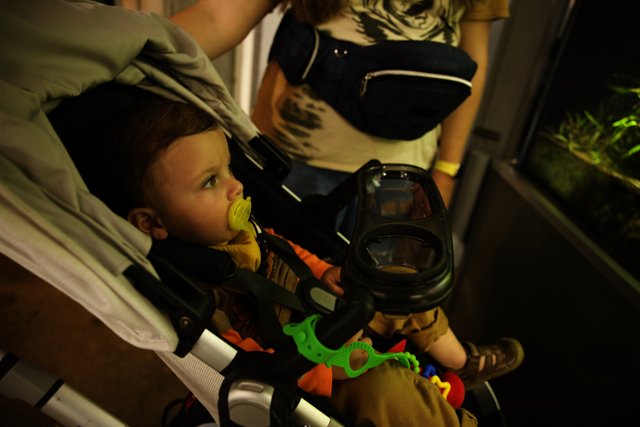 Little Explorer at the Aquarium