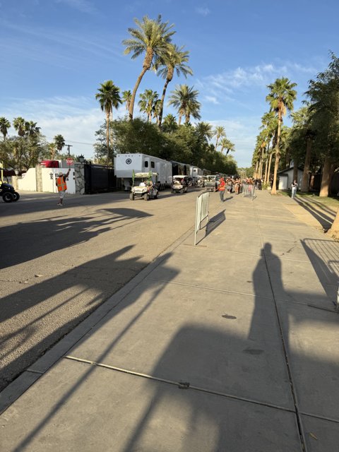 Strolling Through a Palm-Lined Path