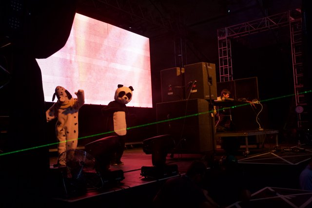 Panda Rockstar on Stage