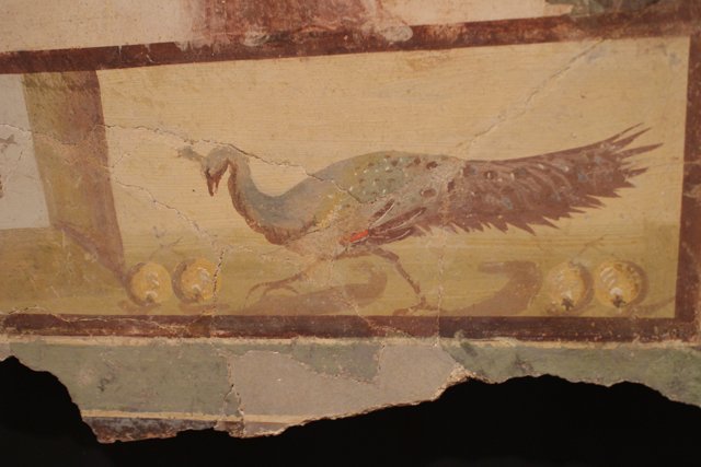 Ancient Bird Pictured with its Clutch