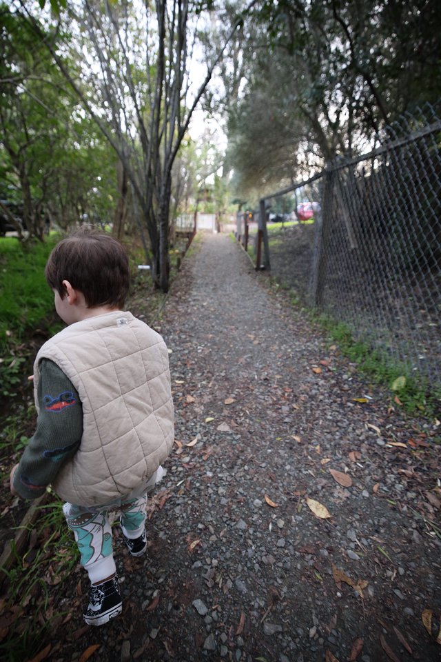 Young Child Gazing Down Autumn Path at Dusk