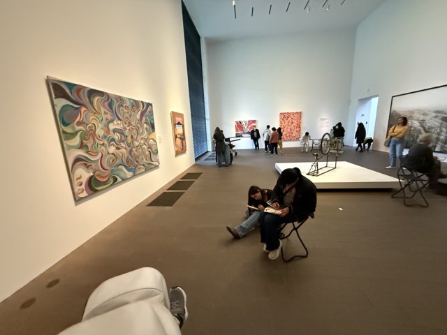 A Day at the de Young