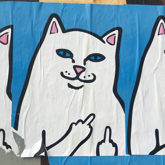 Three White Cats on Blue Canvas