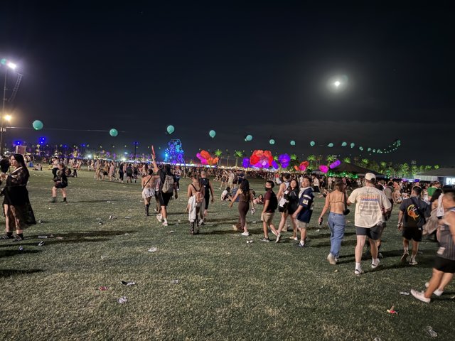 Moonlit Festival Vibes