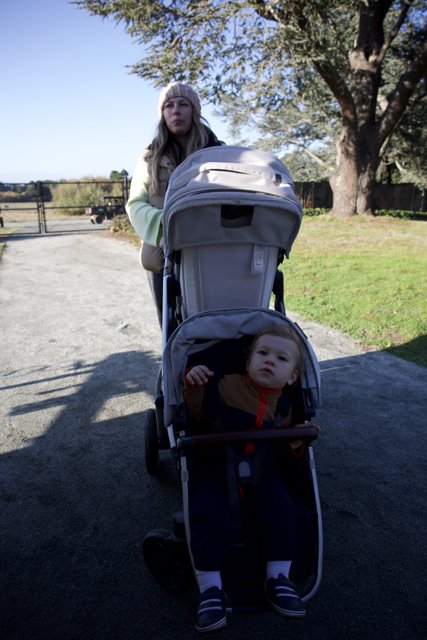 Afternoon Stroll at Thistlewyck