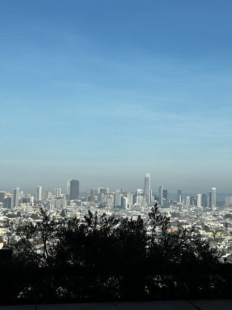 San Francisco Skyline at Dusk