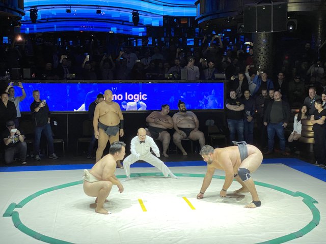 Fight for the Exciting Sumo Wrestling at World Tournament