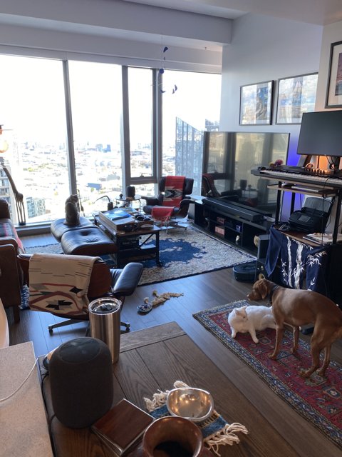 Cozy Living Room with a Furry Companion