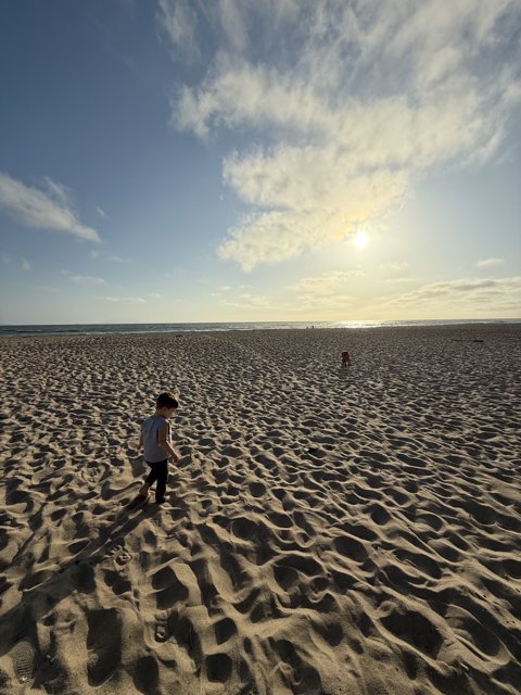 Golden Stroll at Oxnard Beach