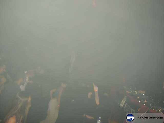 Nightclub Crowd Shrouded in Smoke