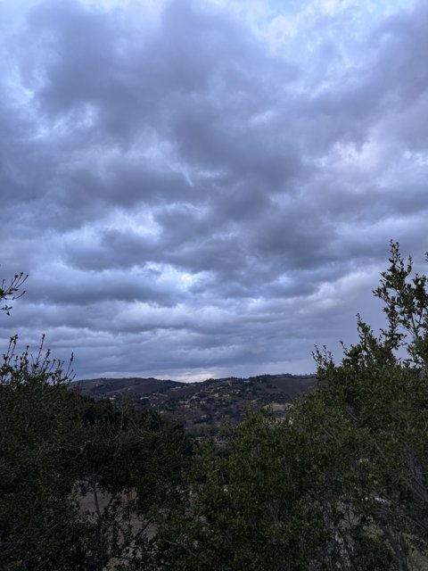 The Mesmerizing Veil of Clouds over Carmel Hills