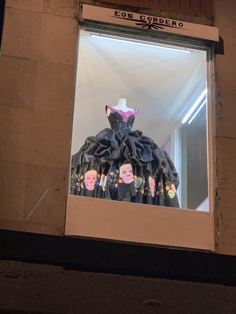 Little Black Dress in the Shop Window