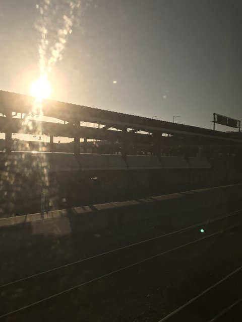Sun-Kissed Train Ride