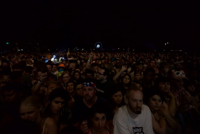 Nighttime Crowd at Coachella Concert