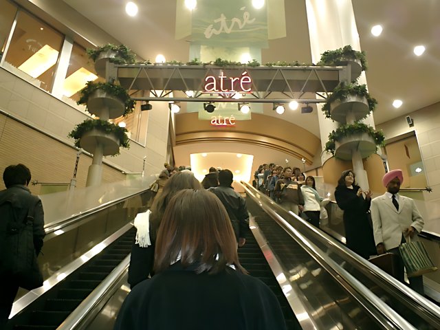 Escalator Shopping Madness