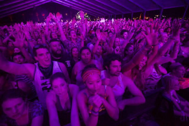 Coachella 2012 Crowd Pumped Up their Hands