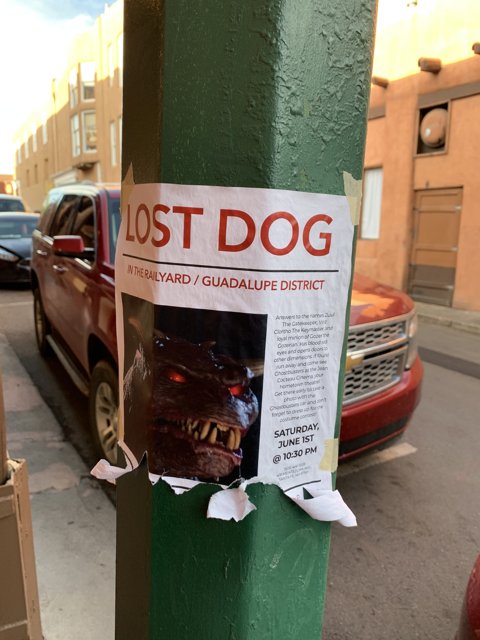 Dog Poster Advertisement