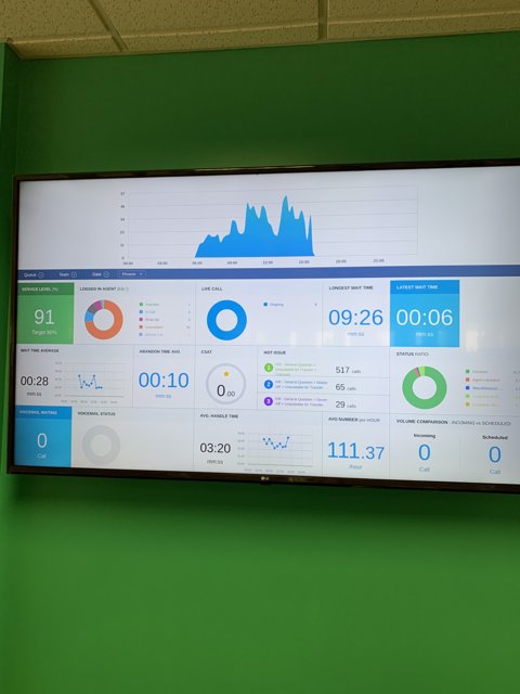 Data Visualization on a Green Wall