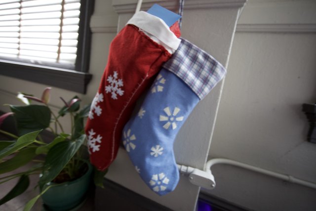 Festive Stockings on Display