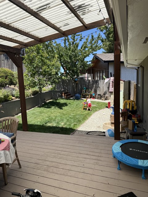 Summer Serenity in the Backyard