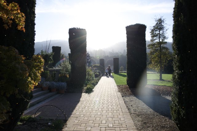 Afternoon Stroll at Thistlewyck Gardens