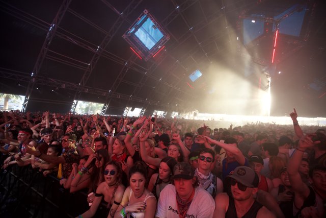 Coachella 2016: The Electric Crowd