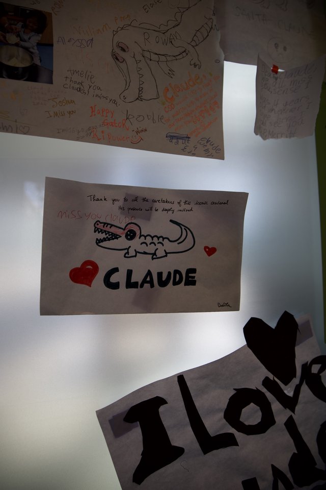 Memorial Tribute Wall for Claude the Alligator