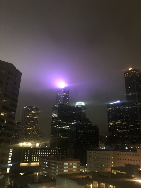 Purple Skyscrapers Illuminate the City