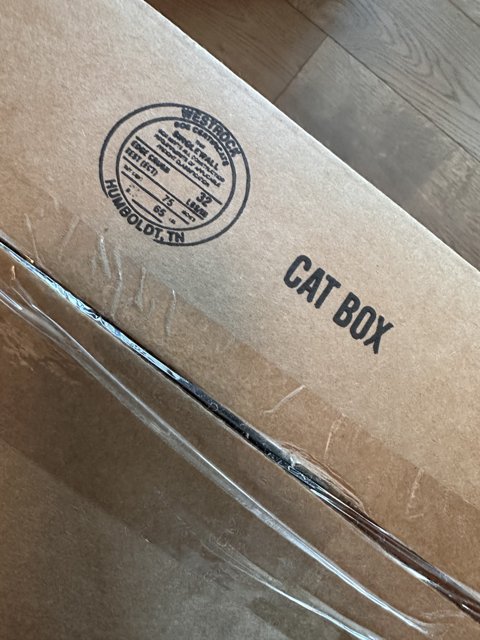 The Mysterious Cat Box