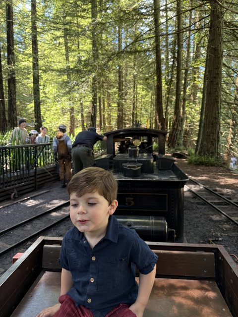 Woodland Train Adventure