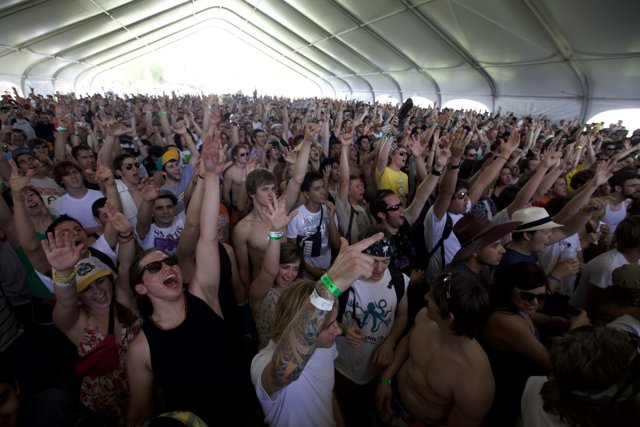 Coachella 2009: A Sea of Hands
