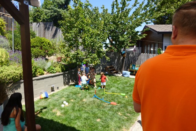 Summer Joy in the Backyard