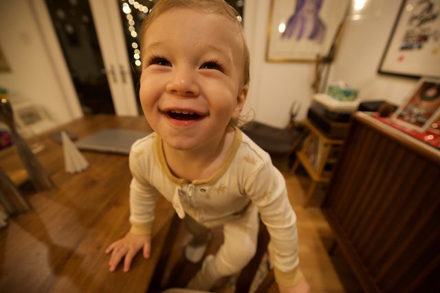 Joyful Toddler Portrait in Cozy Home Setting