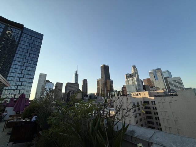 Serenity in the Urban Jungle