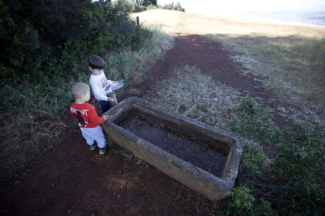 Young Explorers Discover Stone Trough on Mountain Trail