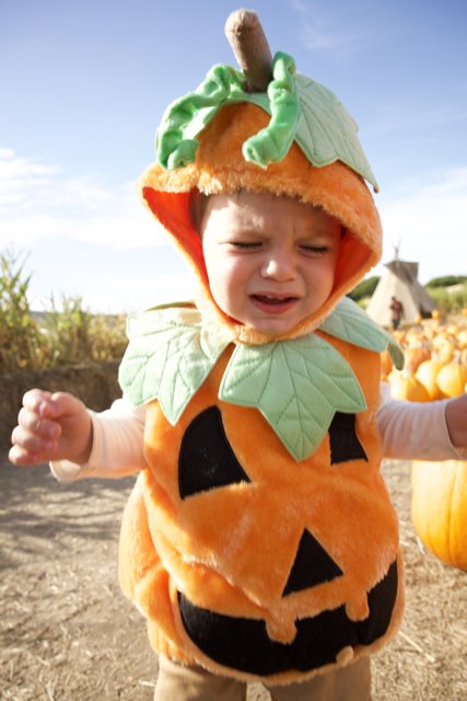 Capturing Pumpkin Magic with Baby Wesley