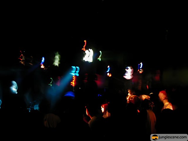 Nightclub Crowd Enjoys Disco Concert