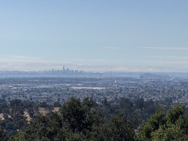Vista Over the Bay: Oakland to San Francisco