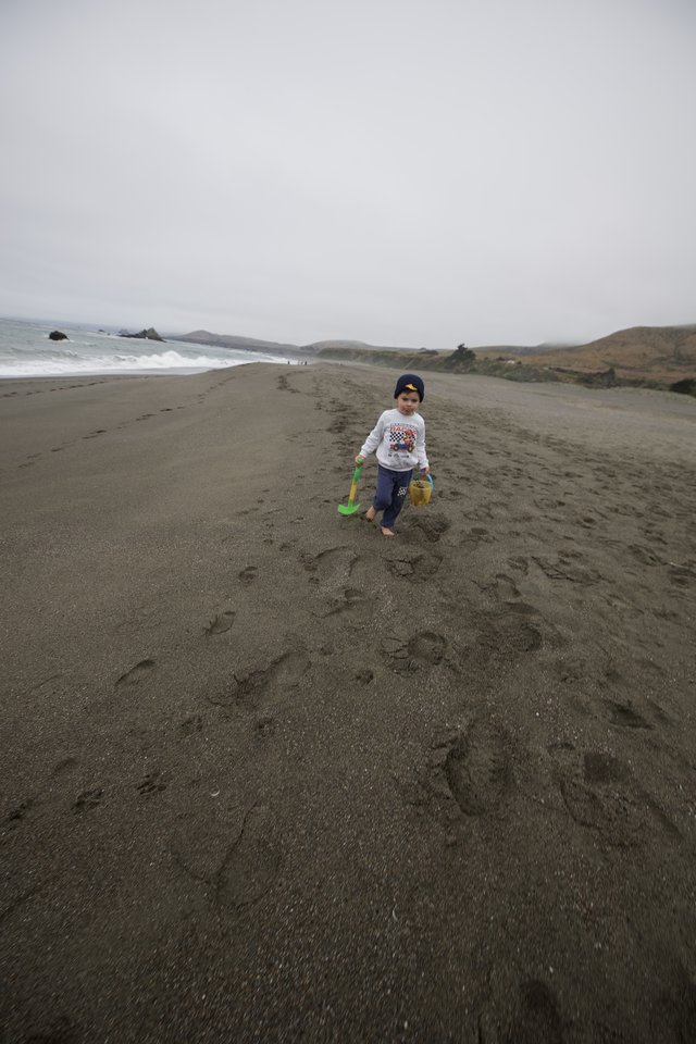 Young Explorer Walking Along a Gray Sandy Beach