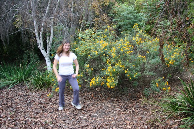 Woman Walking Among Golden Wildflowers on Forest Trail