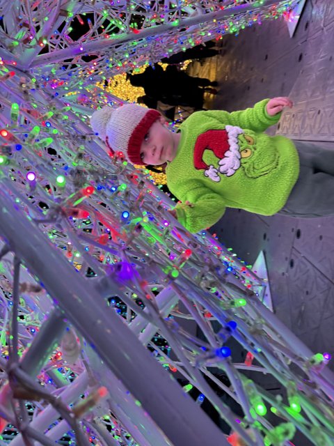 Festive Wonders at PayPal Park