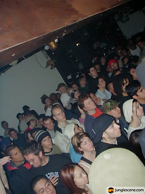 Nightclub Concert Audience