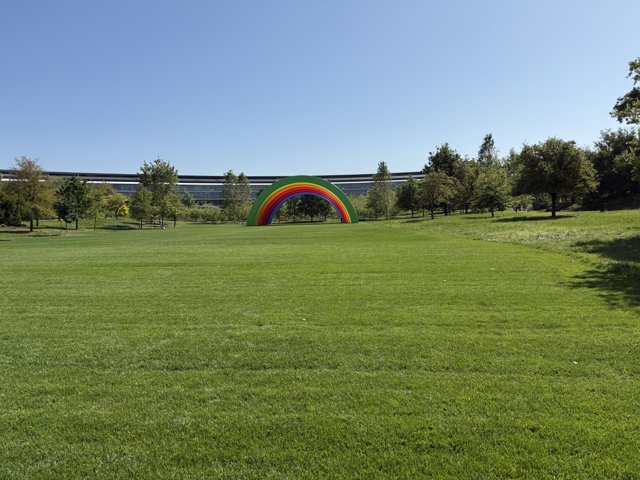 Rainbow Arch in the Meadow
