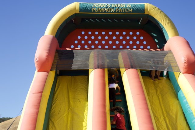 Soaring Fun at Joan's Farm