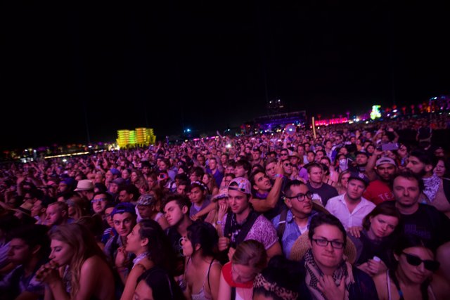 The Massive Crowd at Coachella 2016