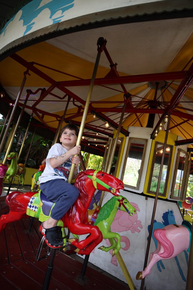 Young Boy Enjoying Colorful Carousel Ride at Fantasyland