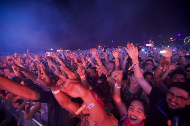 Coachella 2017 Crowd Goes Wild