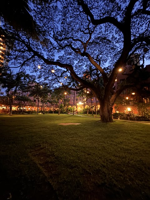 Twilight Serenity at The Royal Hawaiian