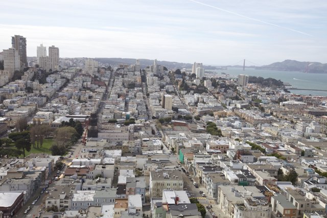 Aerial view of San Francisco's cityscape